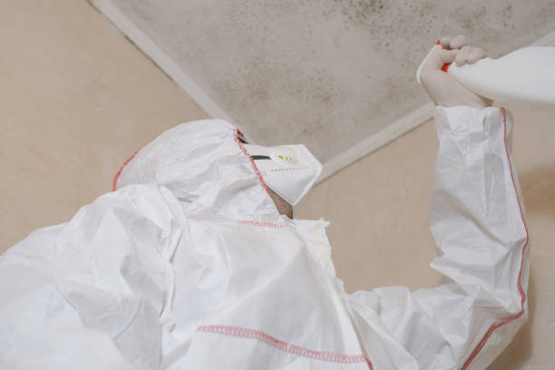 Best Bathroom Mold Remediation in Blue Bell, PA